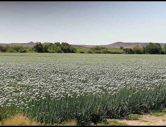 4,642HA FARM FOR SALE IN LEEU GAMKA